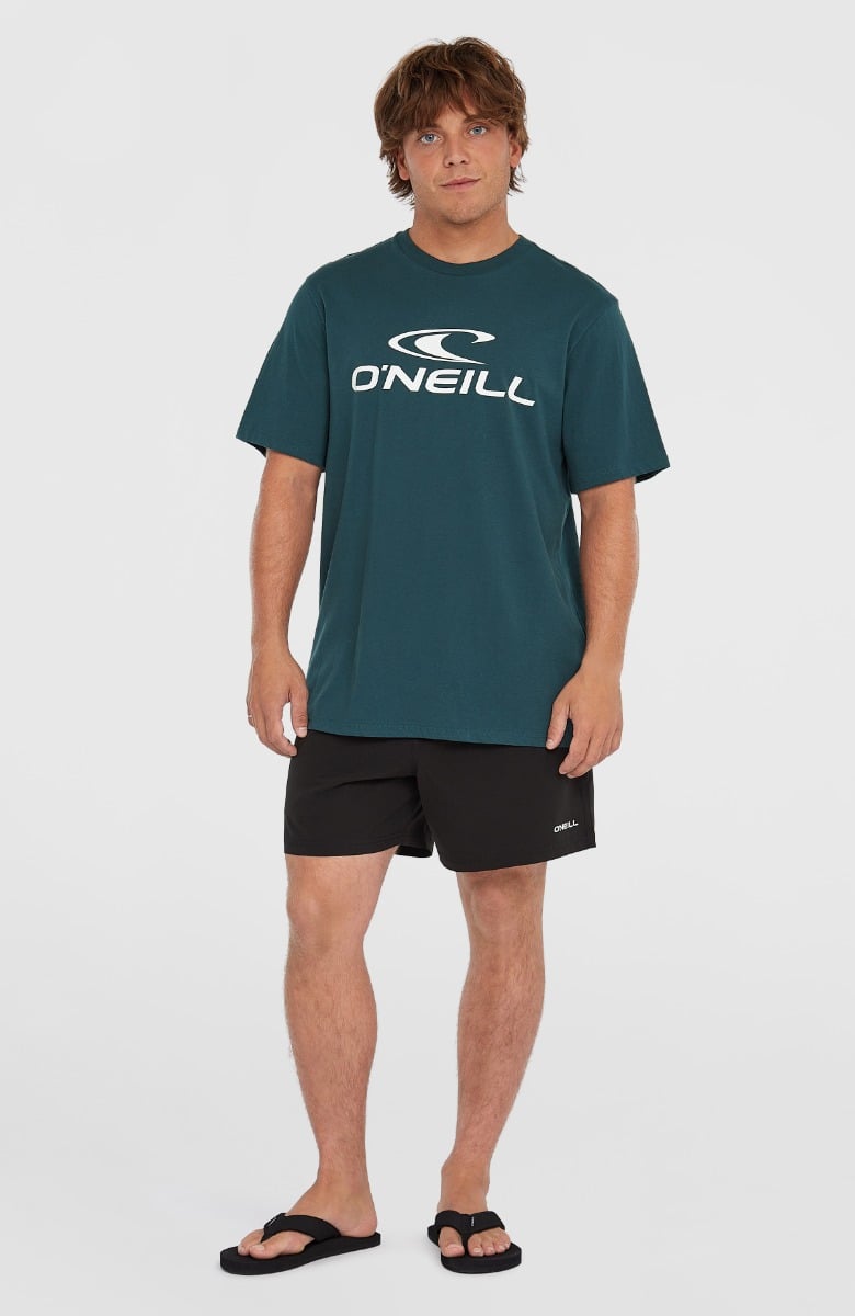 O'Neill Logo T-Shirt - Alma Steel