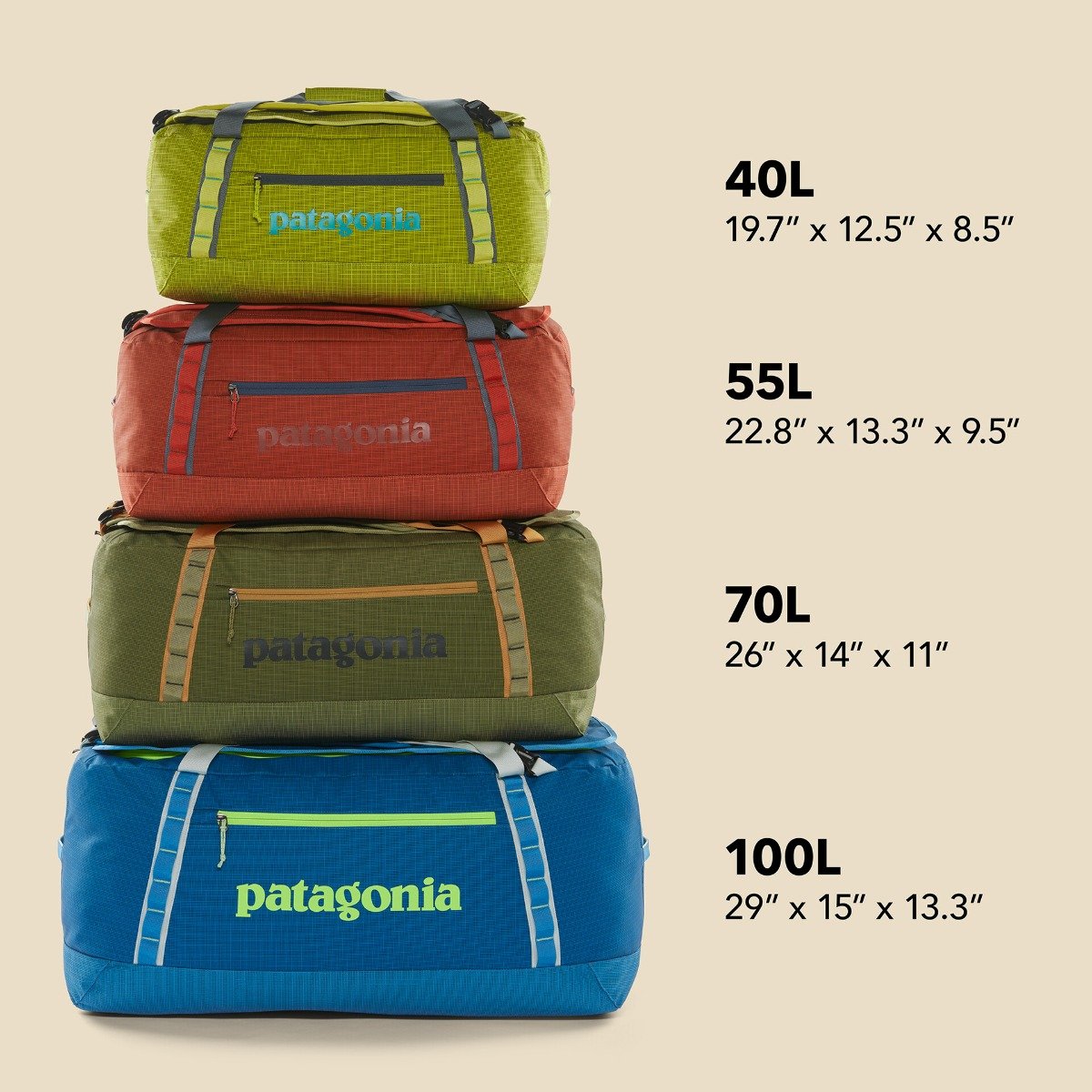 Patagonia Black Hole 40L Duffel Bag - Black