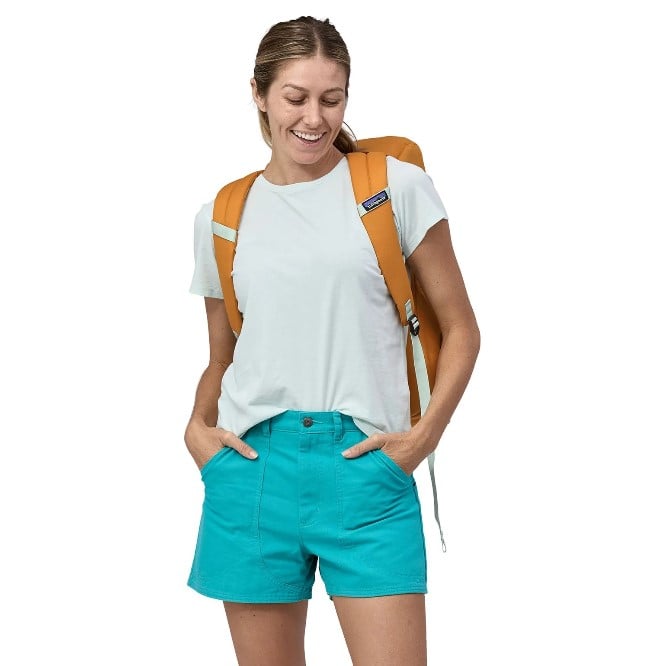 Patagonia Fieldsmith Roll-Top Pack 30L - GNCA