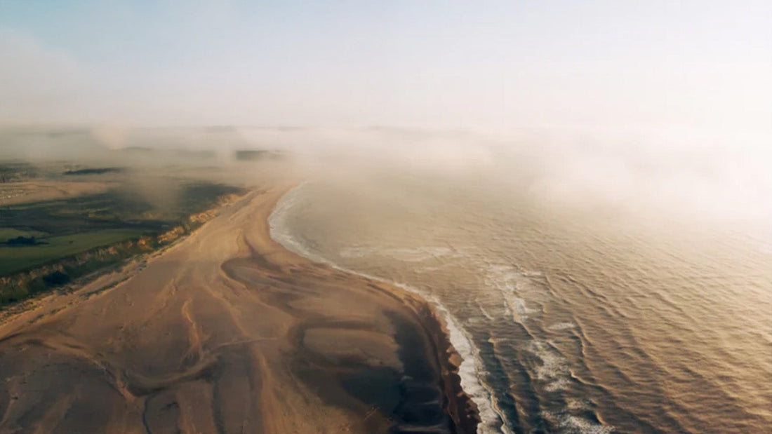 5 Places in the UK with the Best Ocean Wildlife