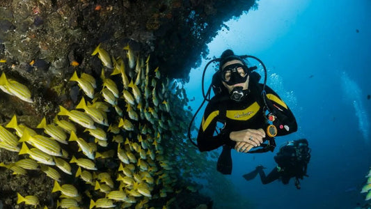Diving wetsuit thickness guide