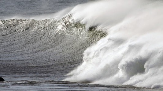 How To Understand A Surf Report 