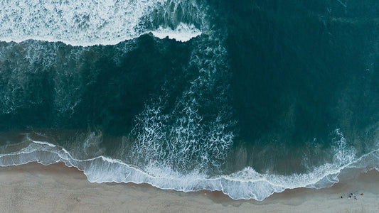 SAS Protect Our Waves petition