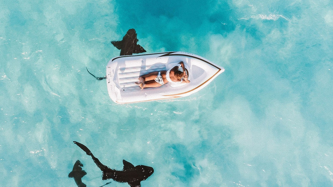 Surfer All Alone with Shark For Company