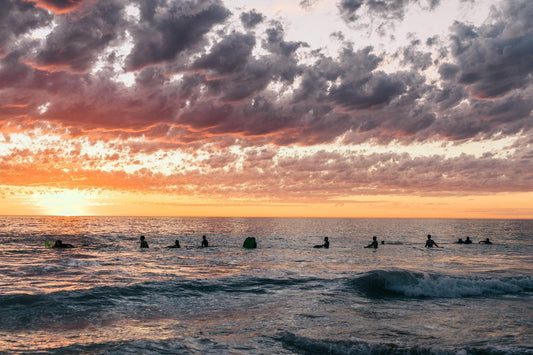 A lineup of surfers