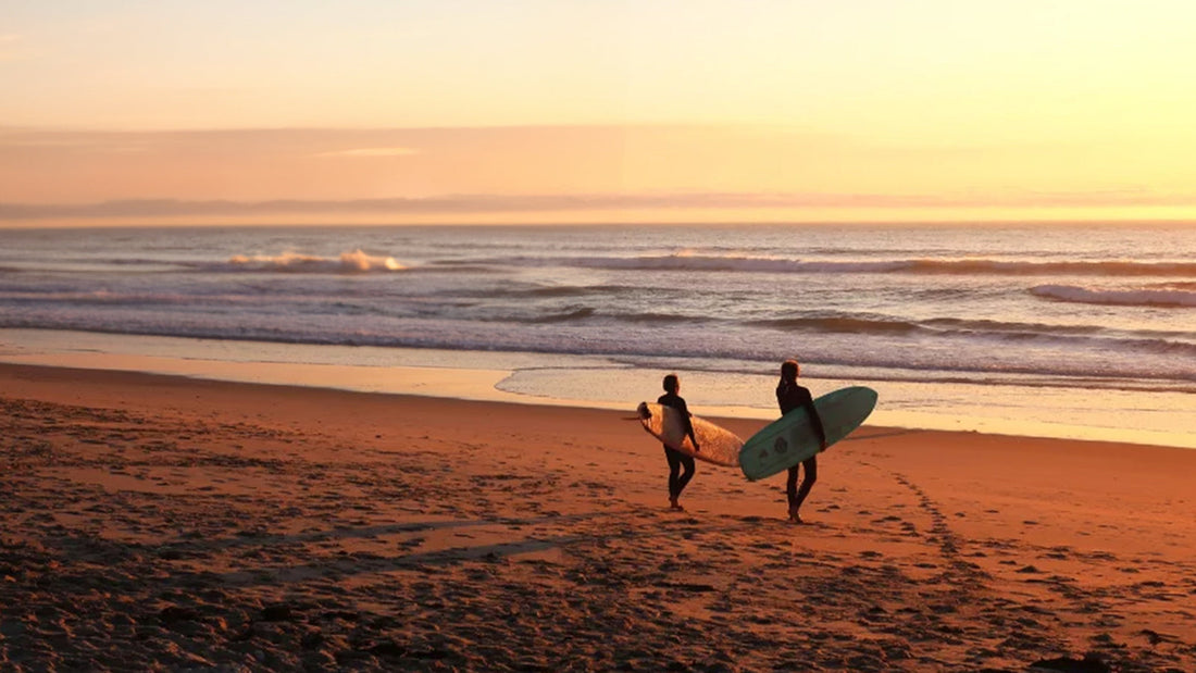 two men with surfboards on a beach