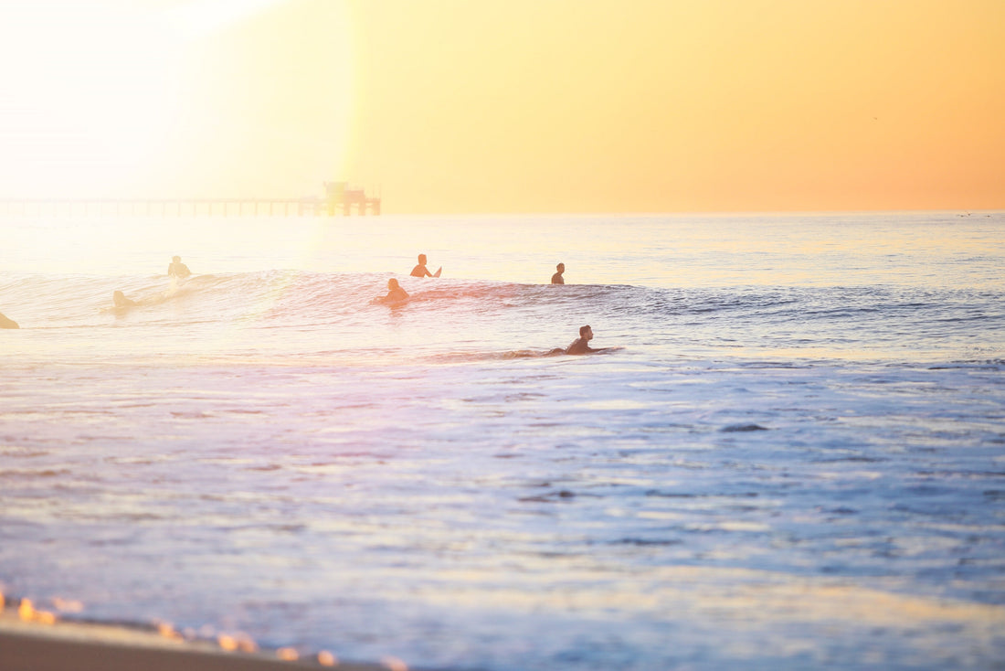 surfers, surfing in the evening sun