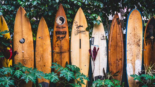 A group of surfboards lined up in a bush