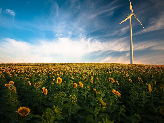 5 Habits for Living More Sustainably
