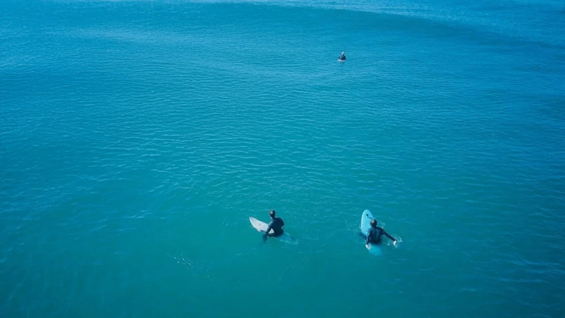 A group of surfers sitting on their boards
