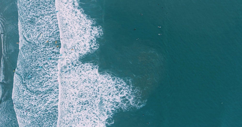 Surfers lying on their boards in the ocean in wetsuits