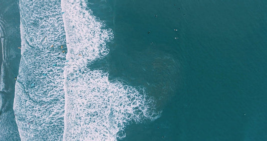 Surfers lying on their boards in the ocean in wetsuits