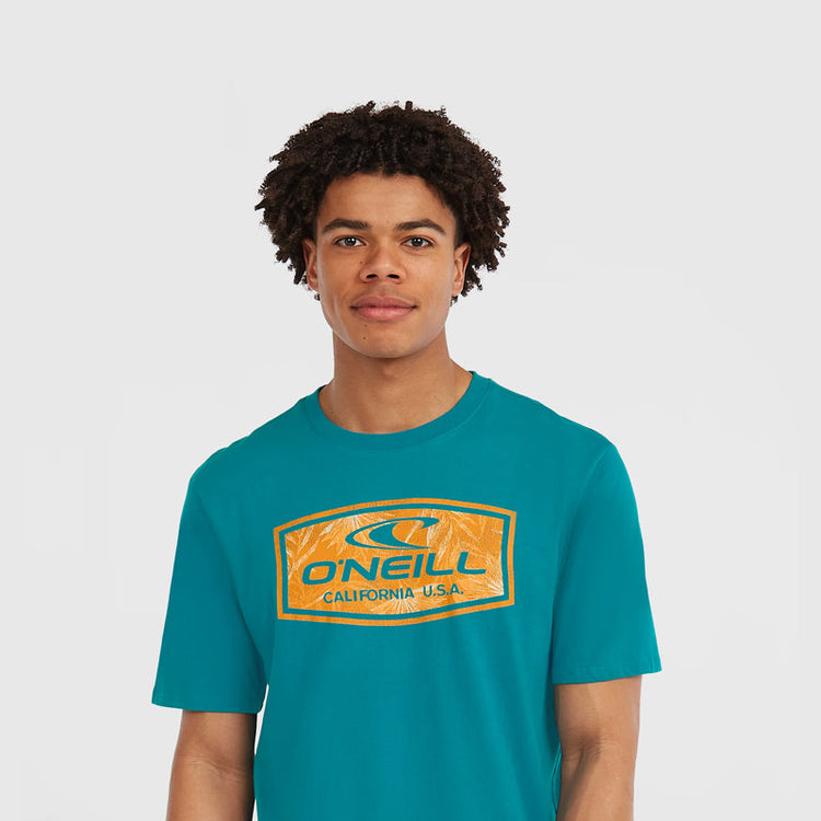 O'Neill T-Shirts