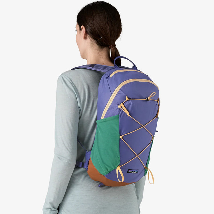Patagonia Backbacks