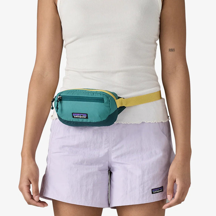 Patagonia Hip Packs & Sling bags