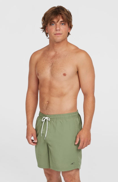 O'Neill Vert 16" Mens Swimshorts - Avery Fern