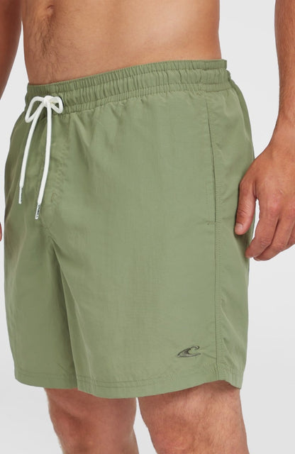 O'Neill Vert 16" Mens Swimshorts - Avery Fern