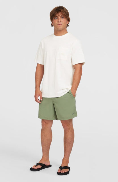 O'Neill Vert 16" Mens Swimshorts - Avery Fern