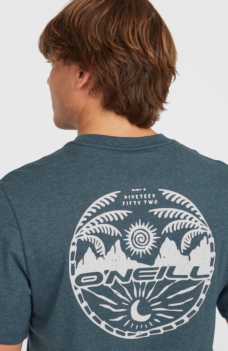 O'Neill Back Print Mens T-Shirt - Alma Steel Melange