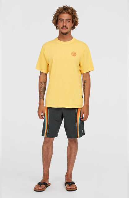 O'Neill Original Vintage Mens Graphic T-Shirt - Golden Haze