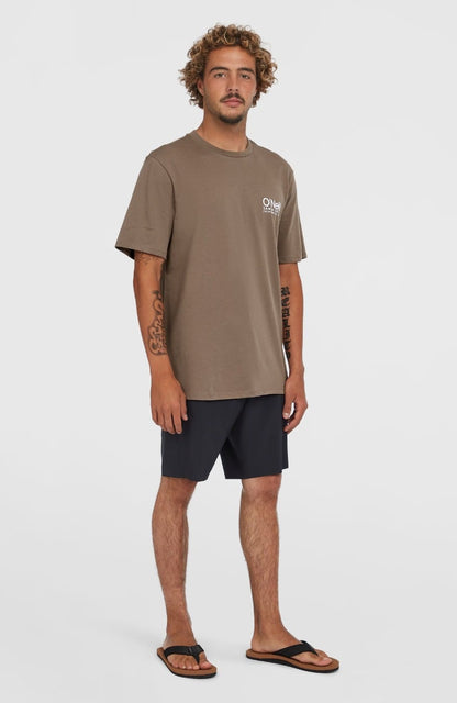 O'Neill Original Cali Logo T-Shirt - Pure Cashmere