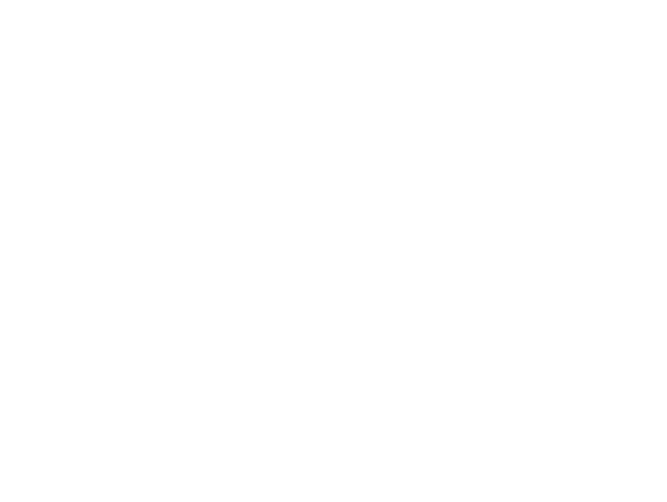 Firewire Surfboards Logo