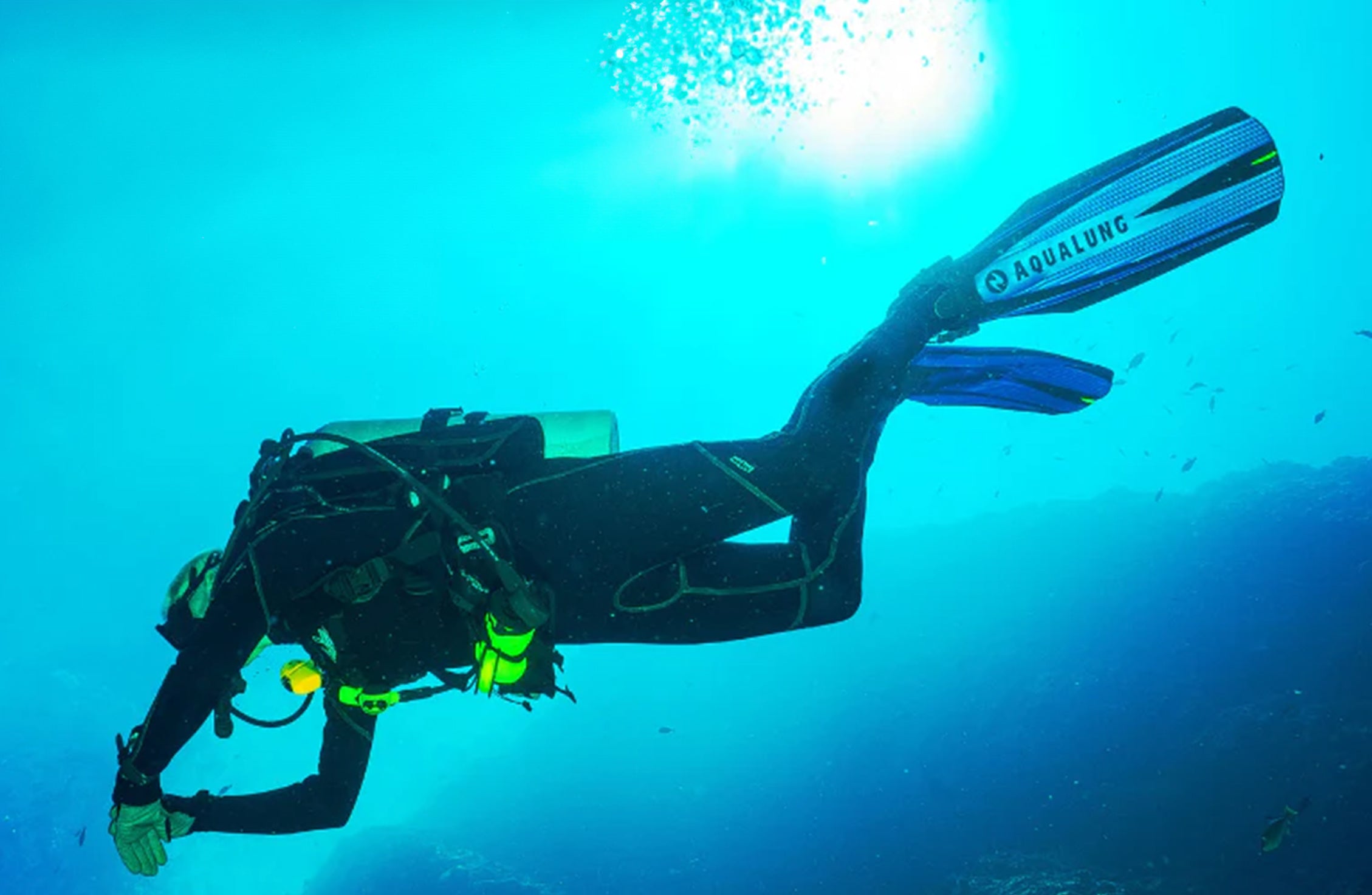 5 Best Cold Water Scuba Diving Wetsuits 2024