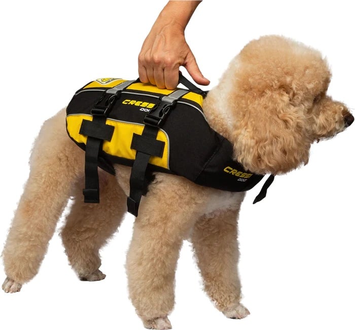 Cressi Dog Life Jacket - Black/Yellow