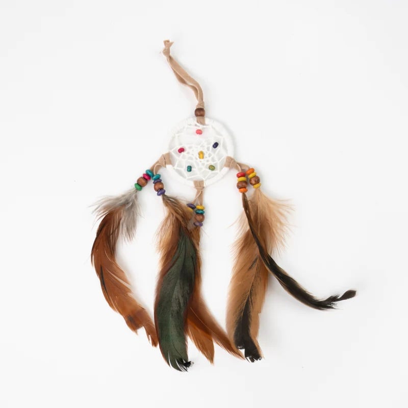 Pineapple Island Bead Feather Dreamcatcher in Multicolour