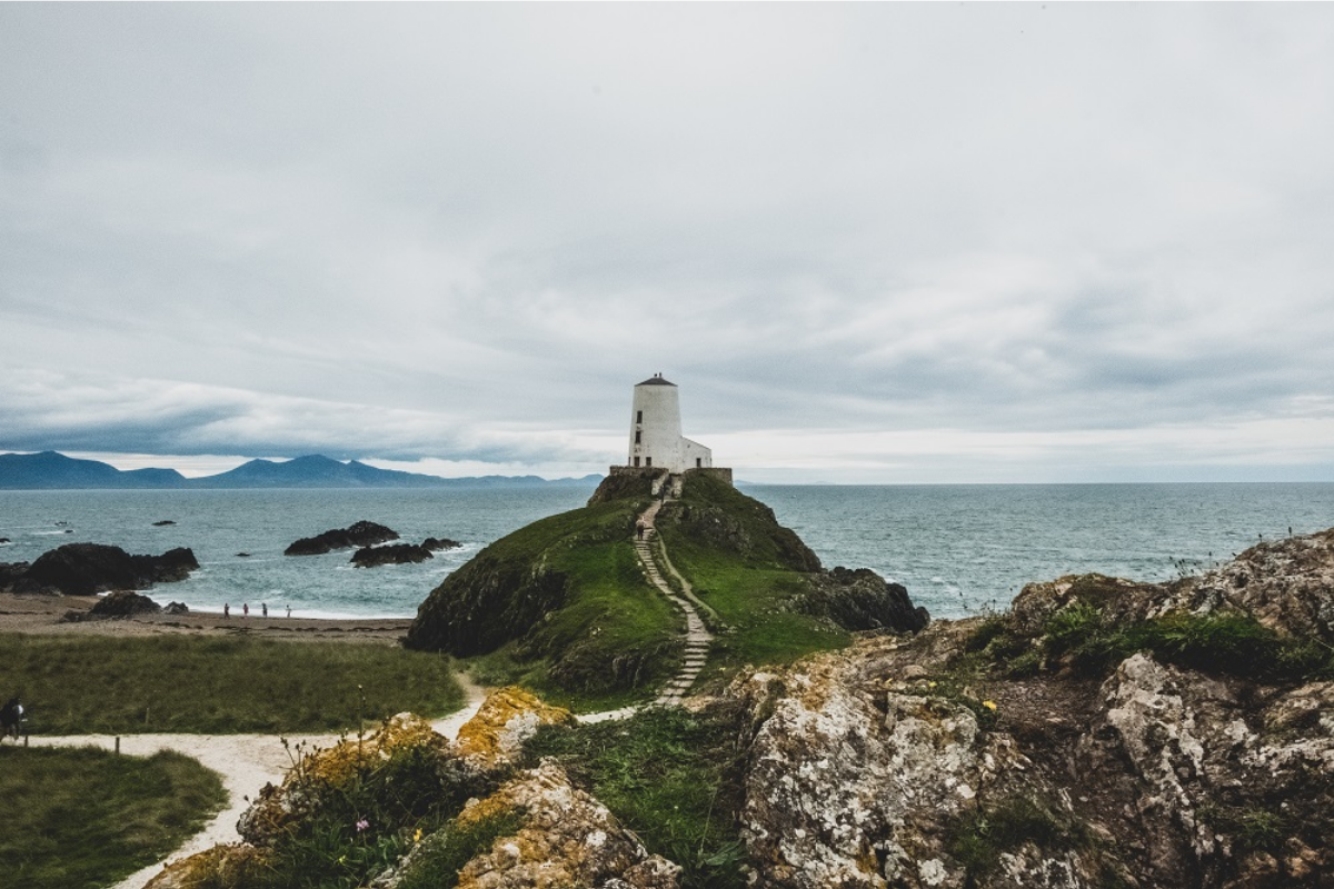 5 Places in the UK with the Best Ocean Wildlife