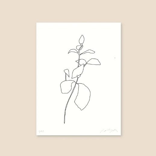 Midday x James Wilson A4 'Succulent Pt.01' Art Print