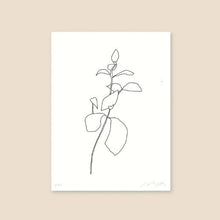 Midday x James Wilson A4 'Succulent Pt.01' Art Print