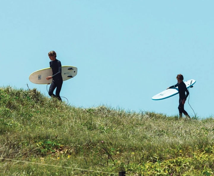Ocean & Earth 5ft 6 Bug 3 Fin Softboard - Green