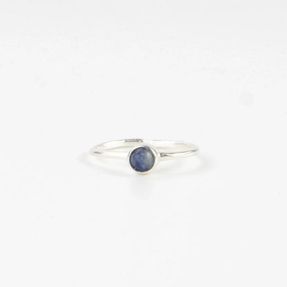 Pineapple Island Lapis Lazuli Adjustable Silver Plated Ring