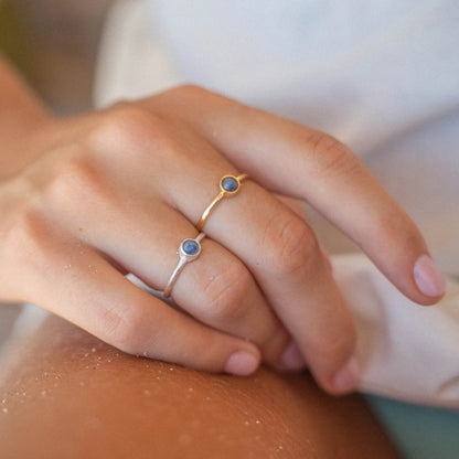 Pineapple Island Lapis Lazuli Adjustable Ring - Silver Plated