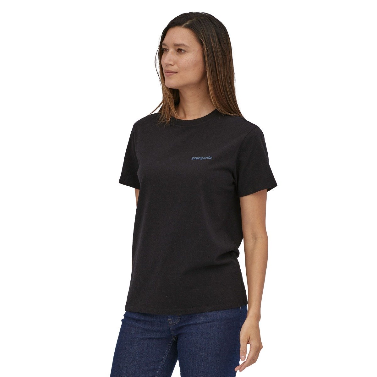 Patagonia Fitz Roy Icon Responsibili-Tee - Ink Black