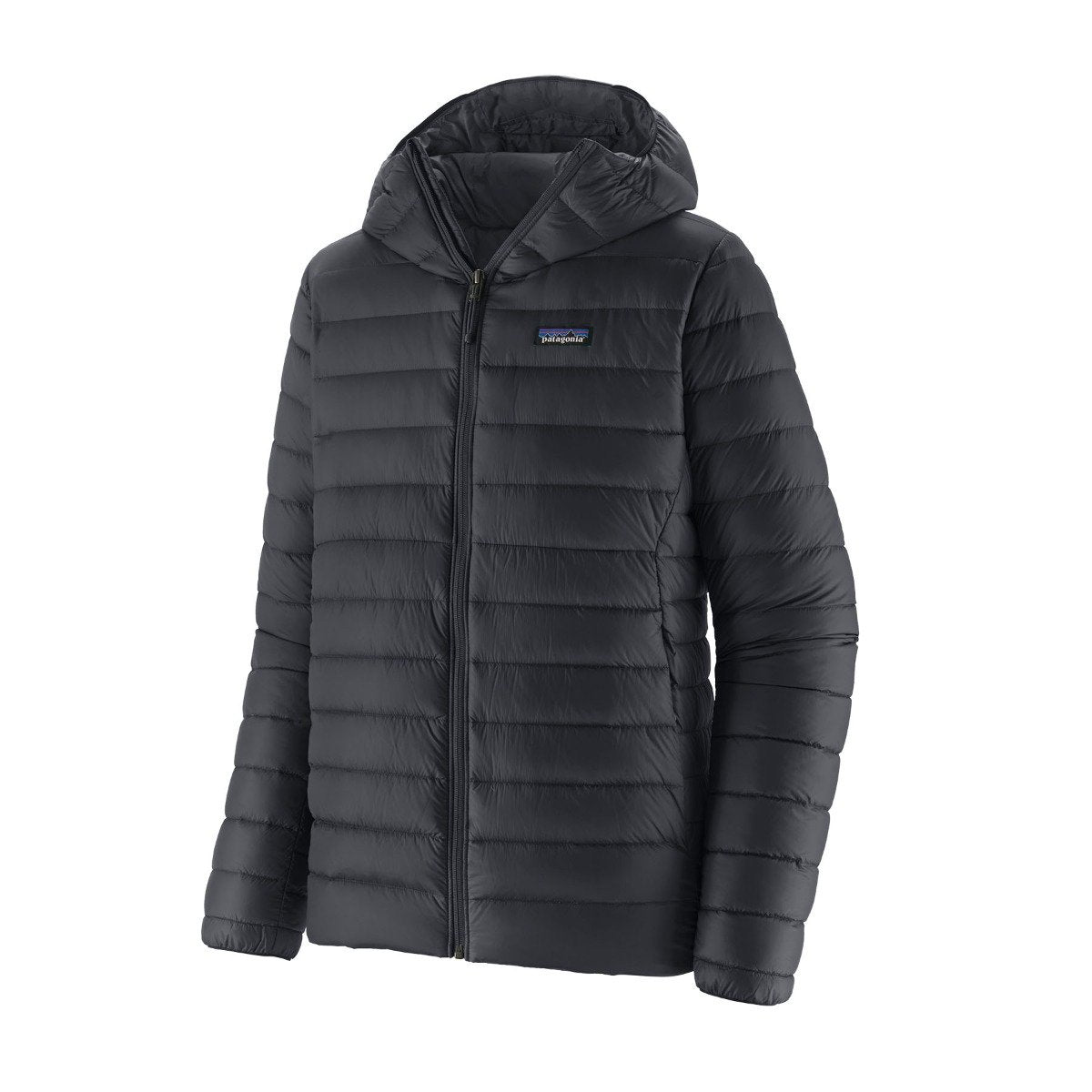 Patagonia Mens Down Sweater Hoody in Black