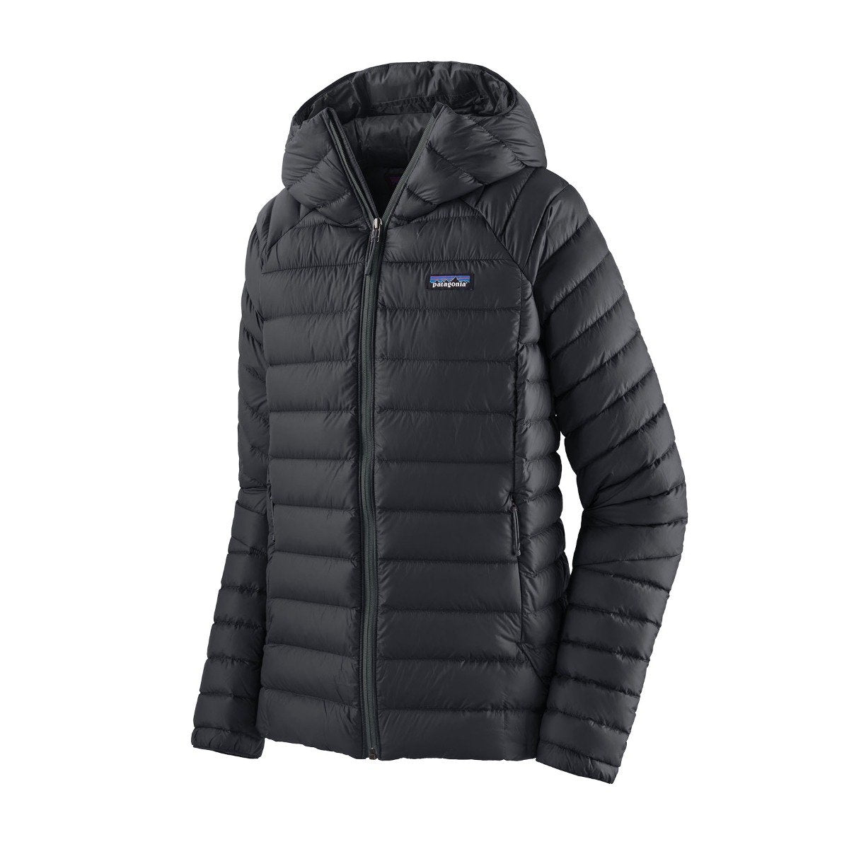 Patagonia Down Sweater Womens Hoody - Black