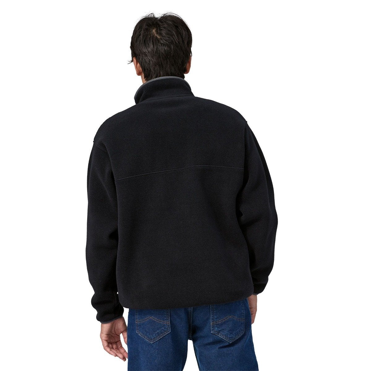 Patagonia Men's Synchilla Snap-T Fleece - BFO