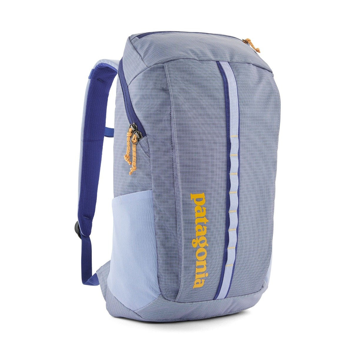 Patagonia Black Hole 25L Pack - PPLE