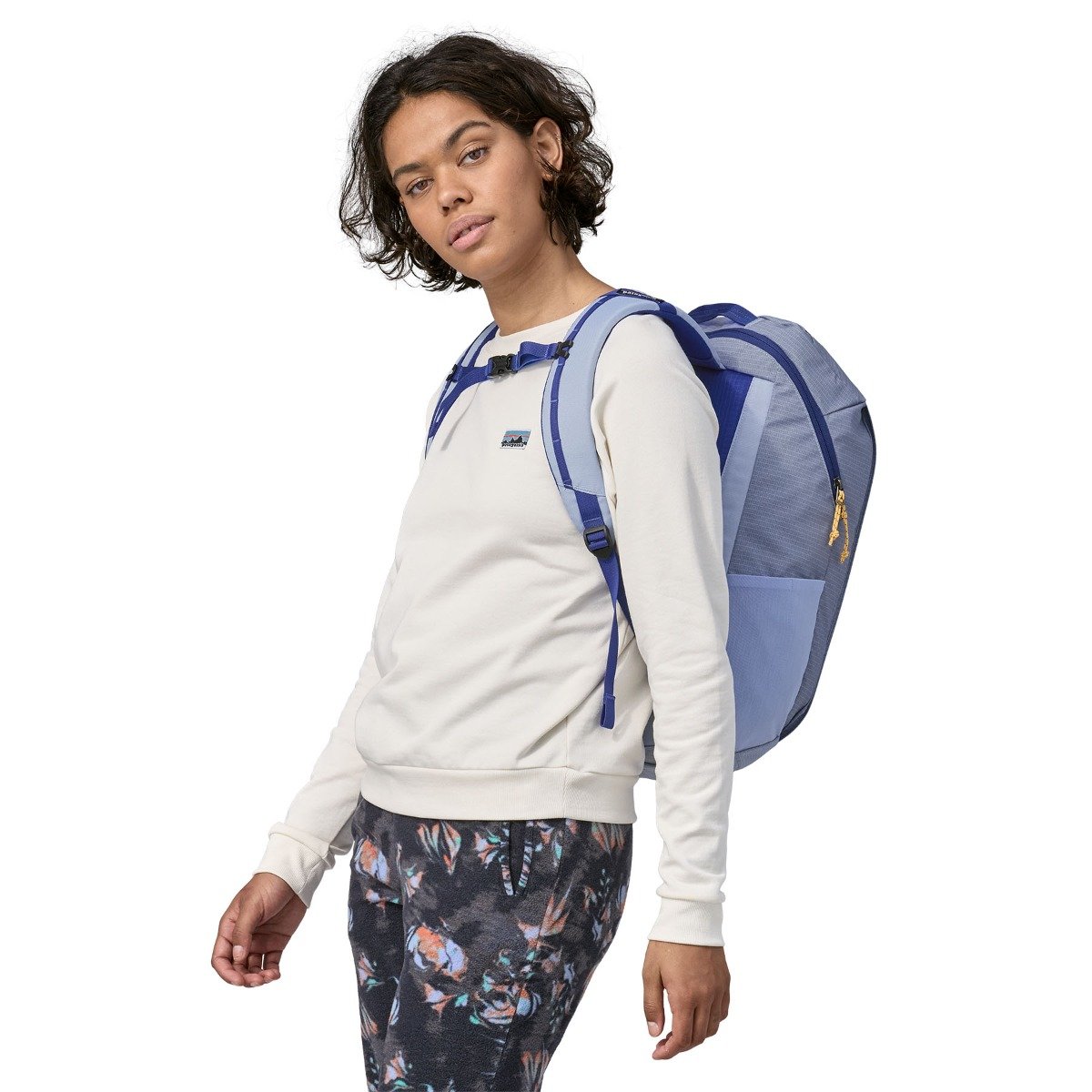 Patagonia Black Hole 25L Pack - PPLE
