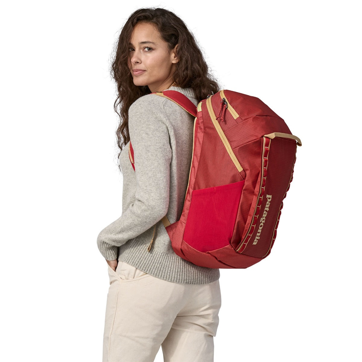 Patagonia Black Hole 32L Backpack - Touring Red