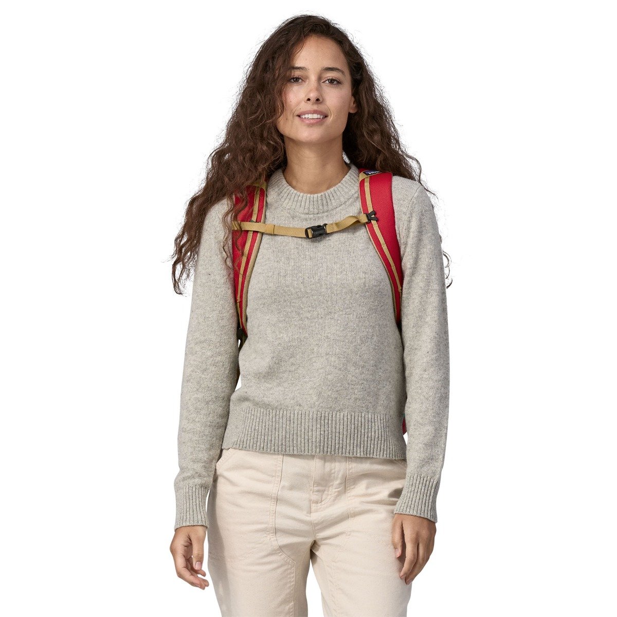 Patagonia Black Hole 32L Backpack - Touring Red