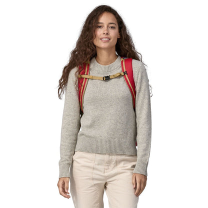 Patagonia Black Hole 32L Backpack - Touring Red