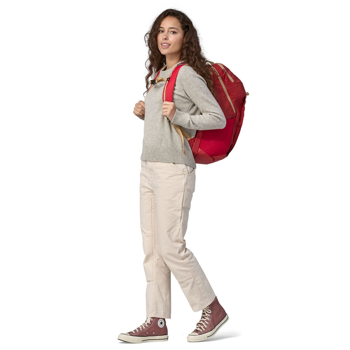 Patagonia Black Hole 32L Backpack - Touring Red