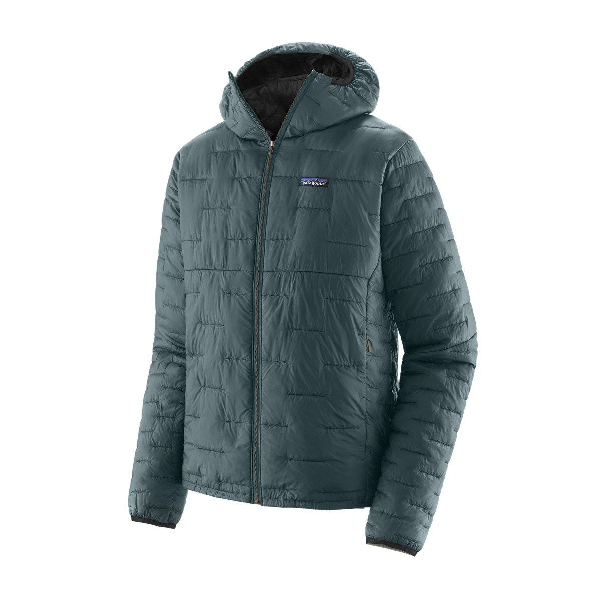 Patagonia Micro Puff Mens Hoody - Nouveau Green