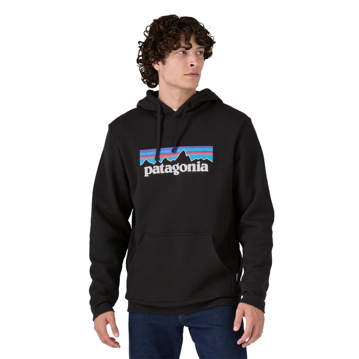 Patagonia Mens P-6 Logo Uprisal Hoody - Black