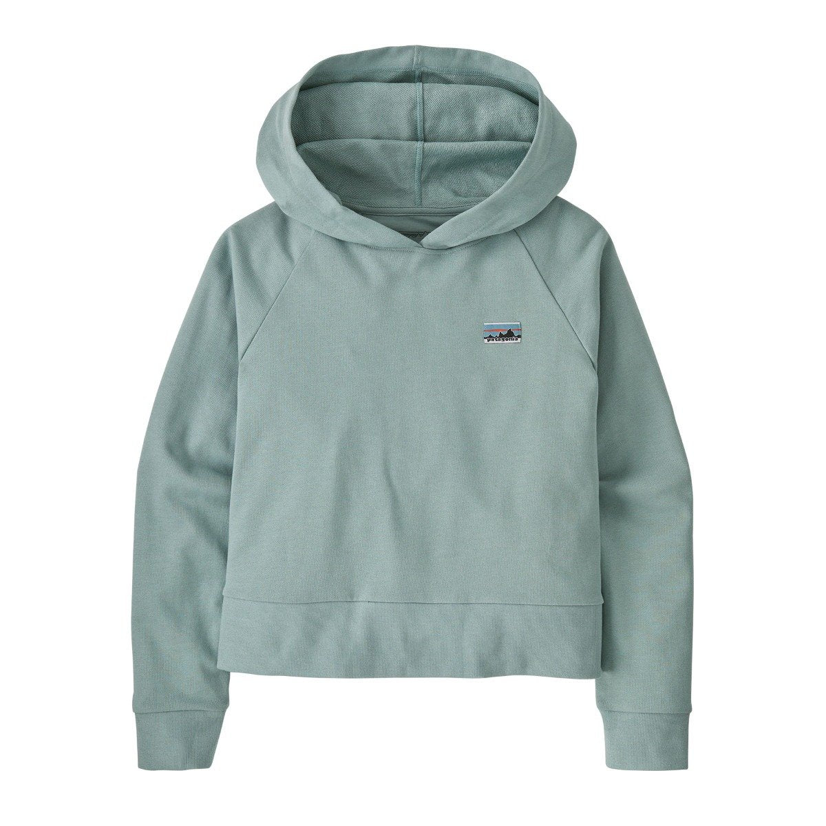 Patagonia Regenerative Womens Organic Certified Cotton Essential Hoody - Thermal Blue