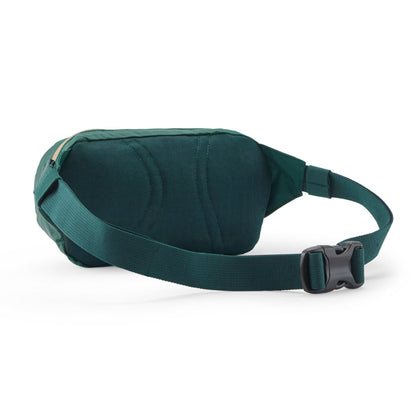 Patagonia Terravia Mini Hip Pack 1L - Cascade Green
