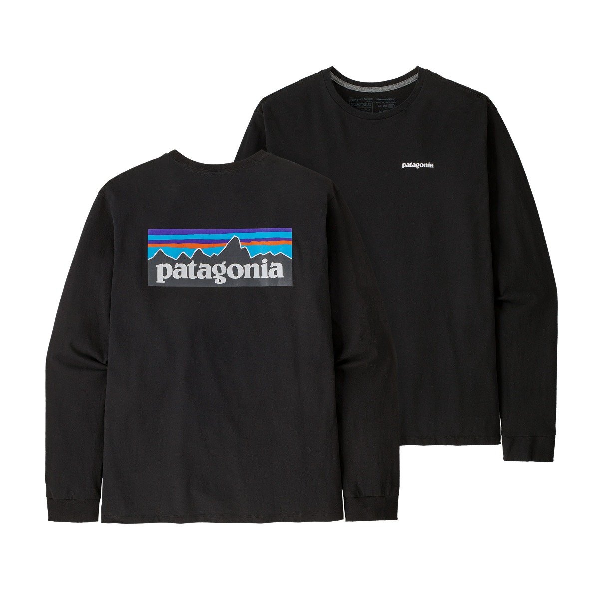 Patagonia Logo Tee